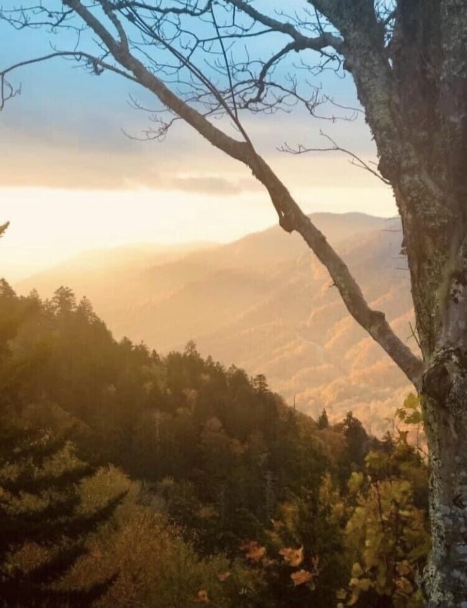 Minutes to several hiking trails, fishing areas and downtown attractions