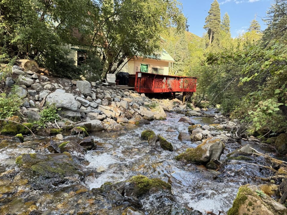 The stream