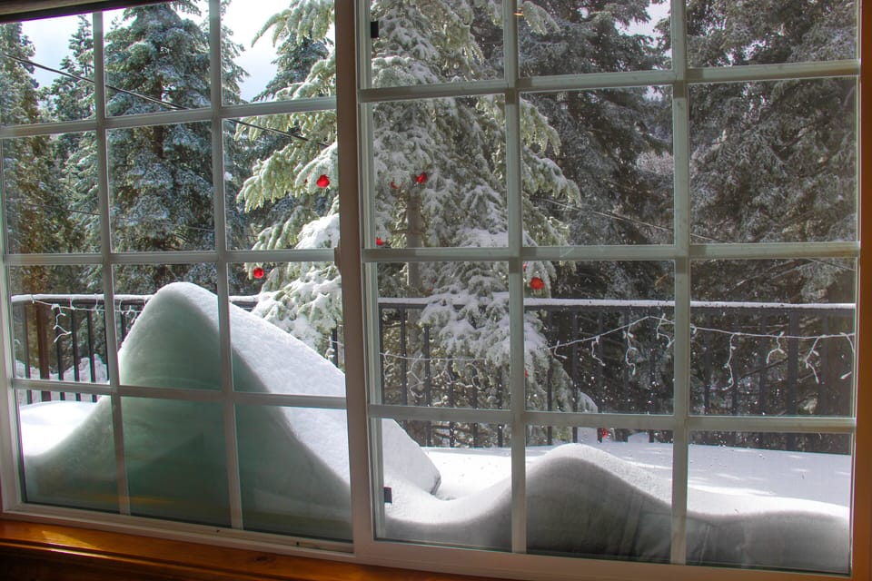 Looking towards the street after a heavy snow