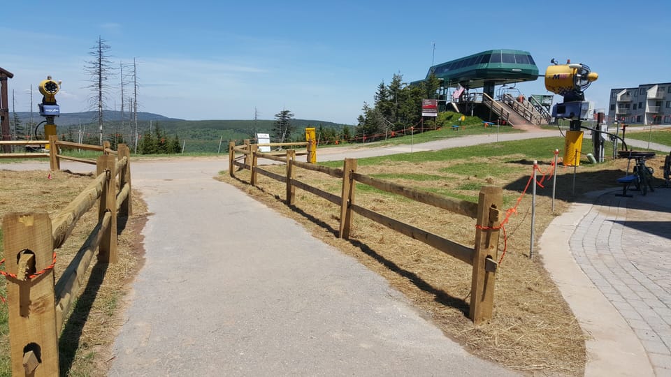 Snowshoe during the summer