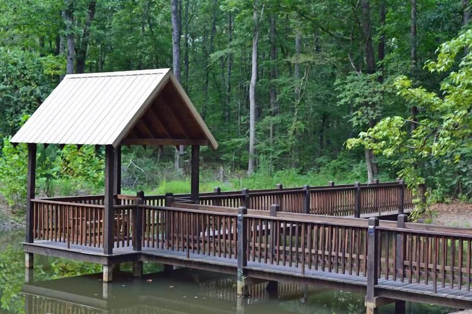 Small Pond behind cabin