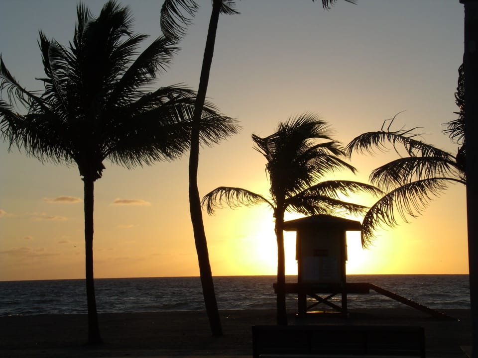 Watch sunrise every morning