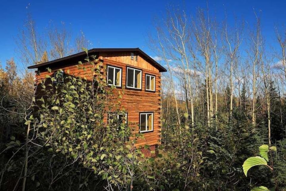 (1) beautiful Alaskan cabin in the woods