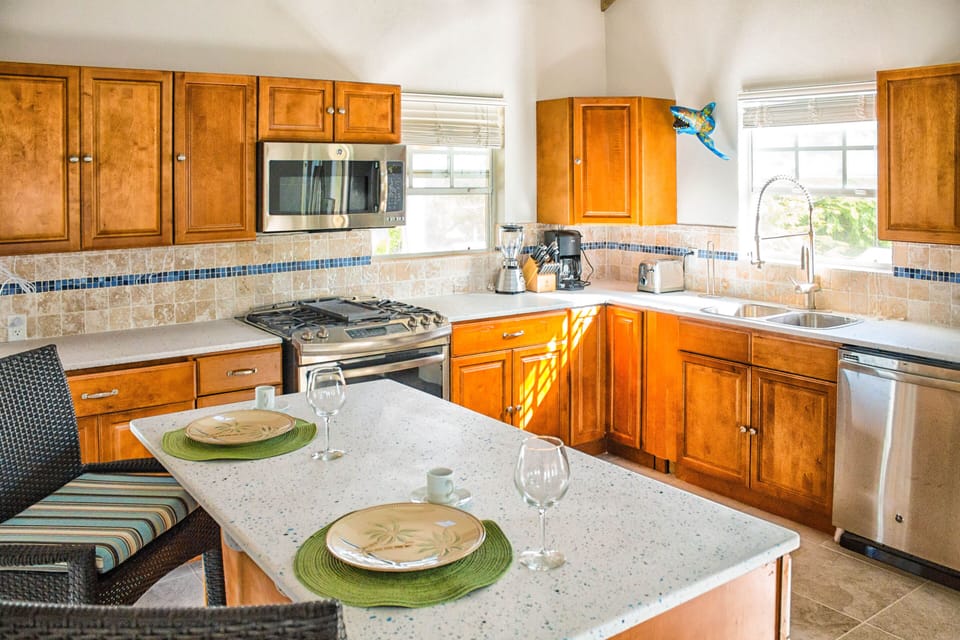 kitchen with guardian shark