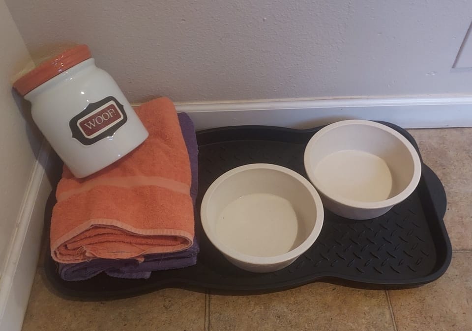 Dog friendly -