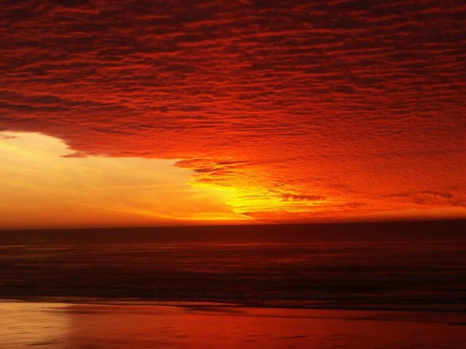 Recent killer sunset