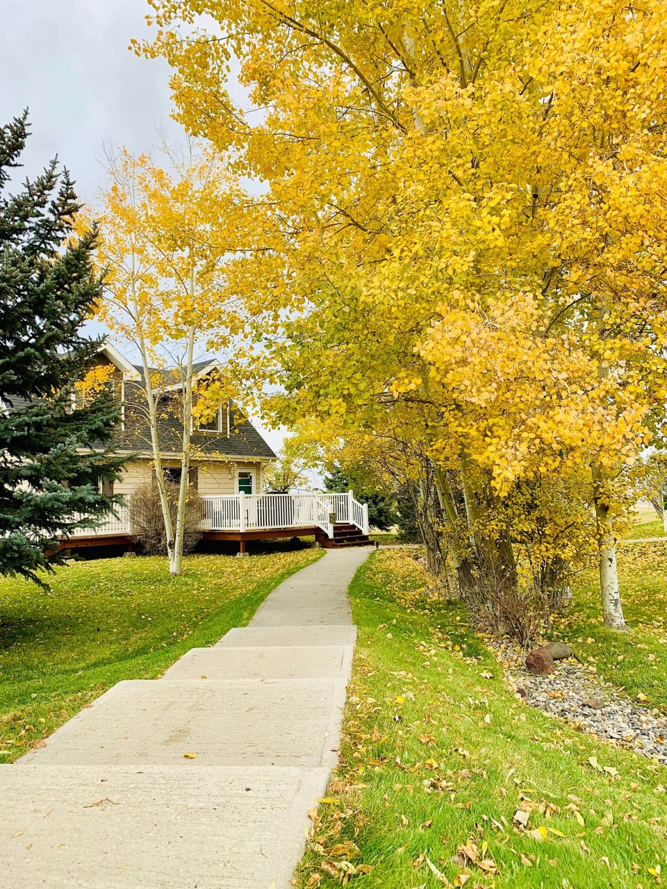 Montana Beautiful | Dog friendly