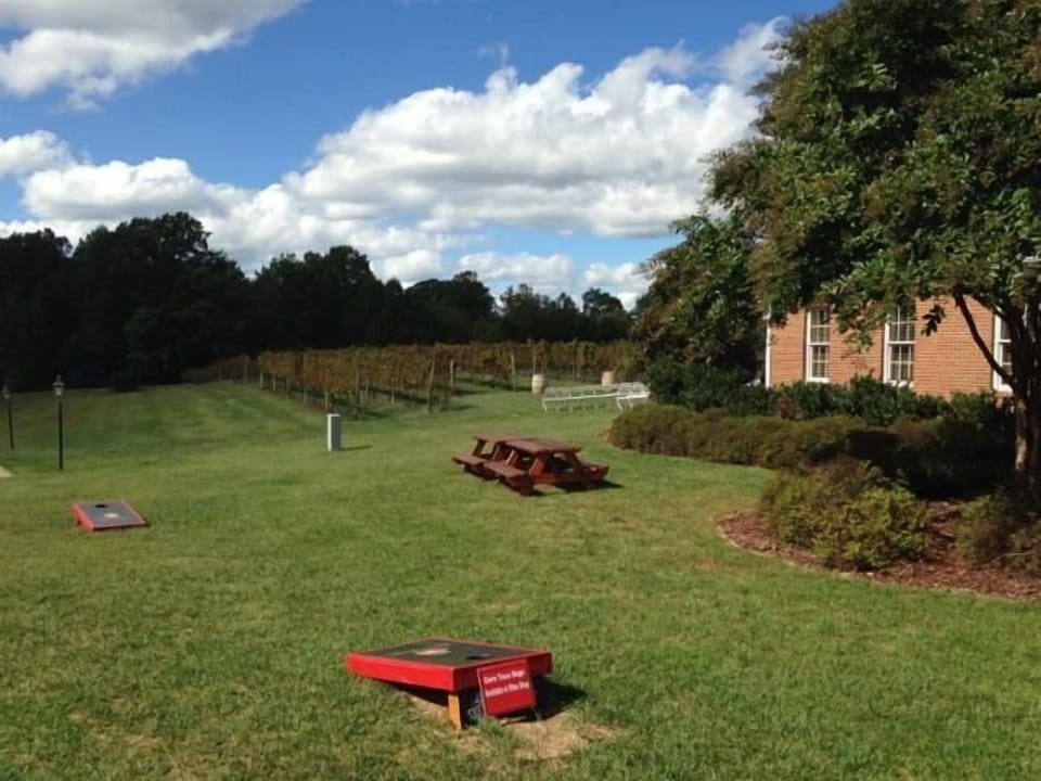 Consider picnics, wine tastings, games of cornhole, & even polo matches nearby