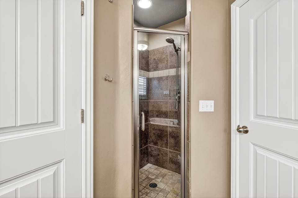 Master Bathroom Shower