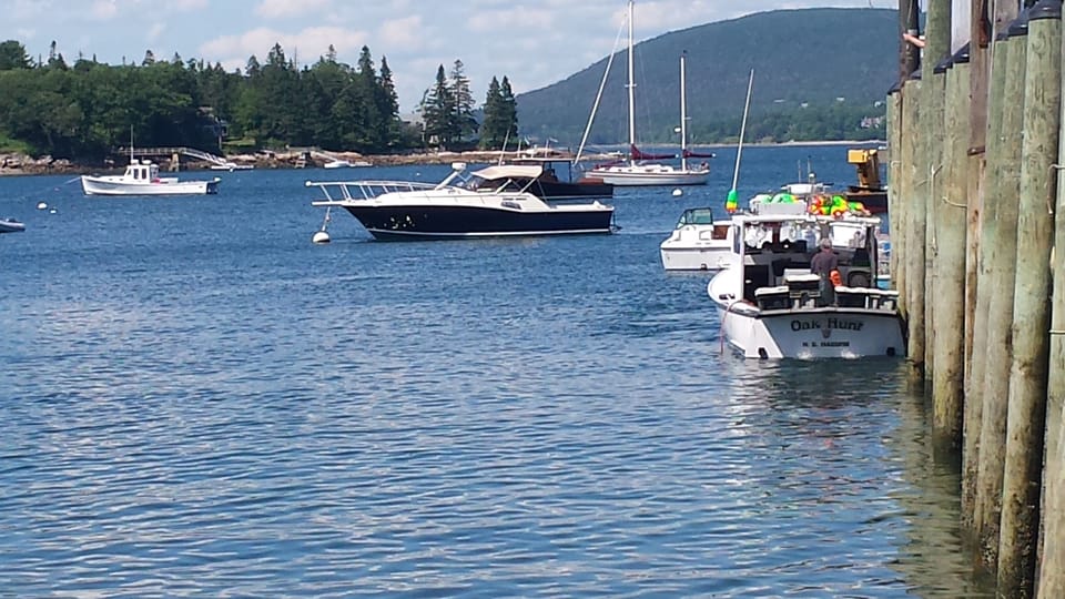 Dad selling lobsters at the Manset pier, Norumbega Mt in the background.