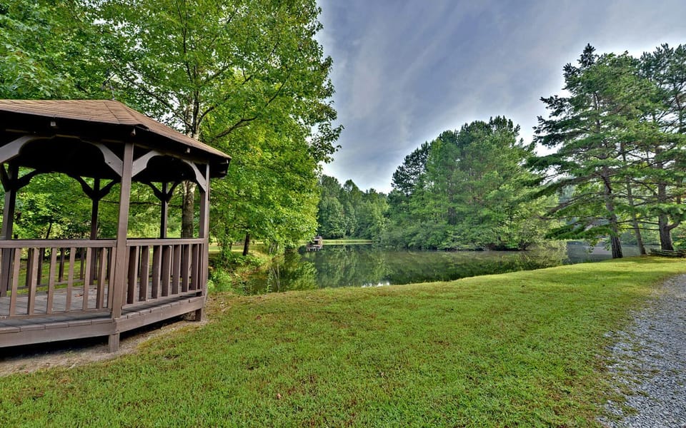 Looking out over the pond.