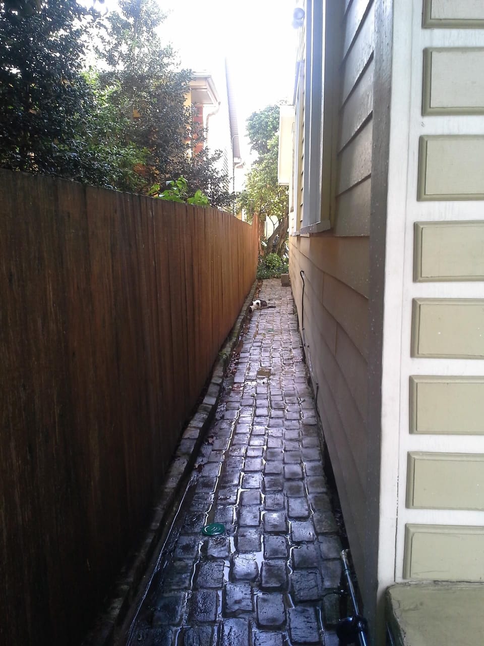 brick alley to rear entrance...