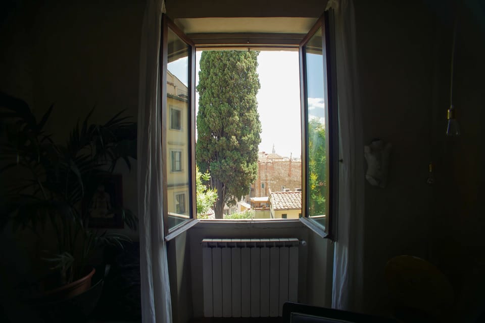VIEW FROM LIVING ROOM