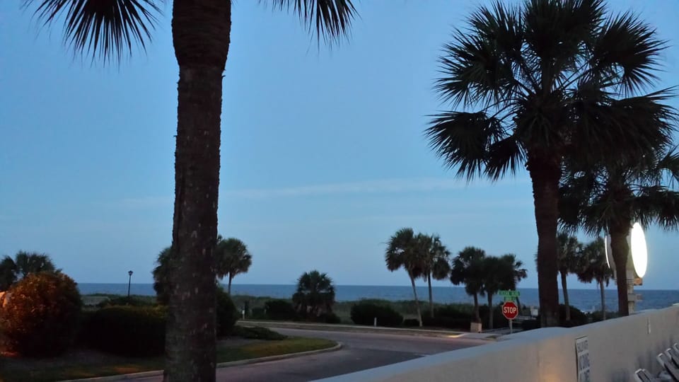 The view from the pool 