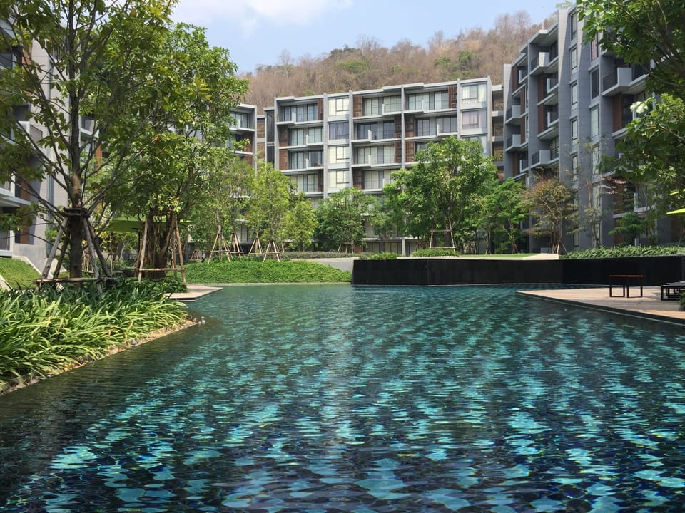 Outdoor pool, pool umbrellas, sun loungers