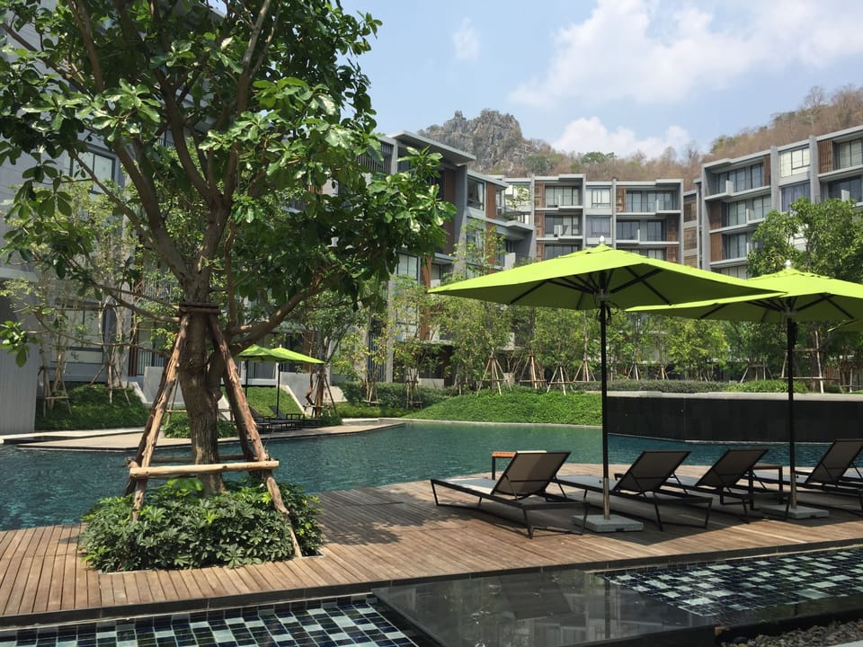 Outdoor pool, pool umbrellas, sun loungers