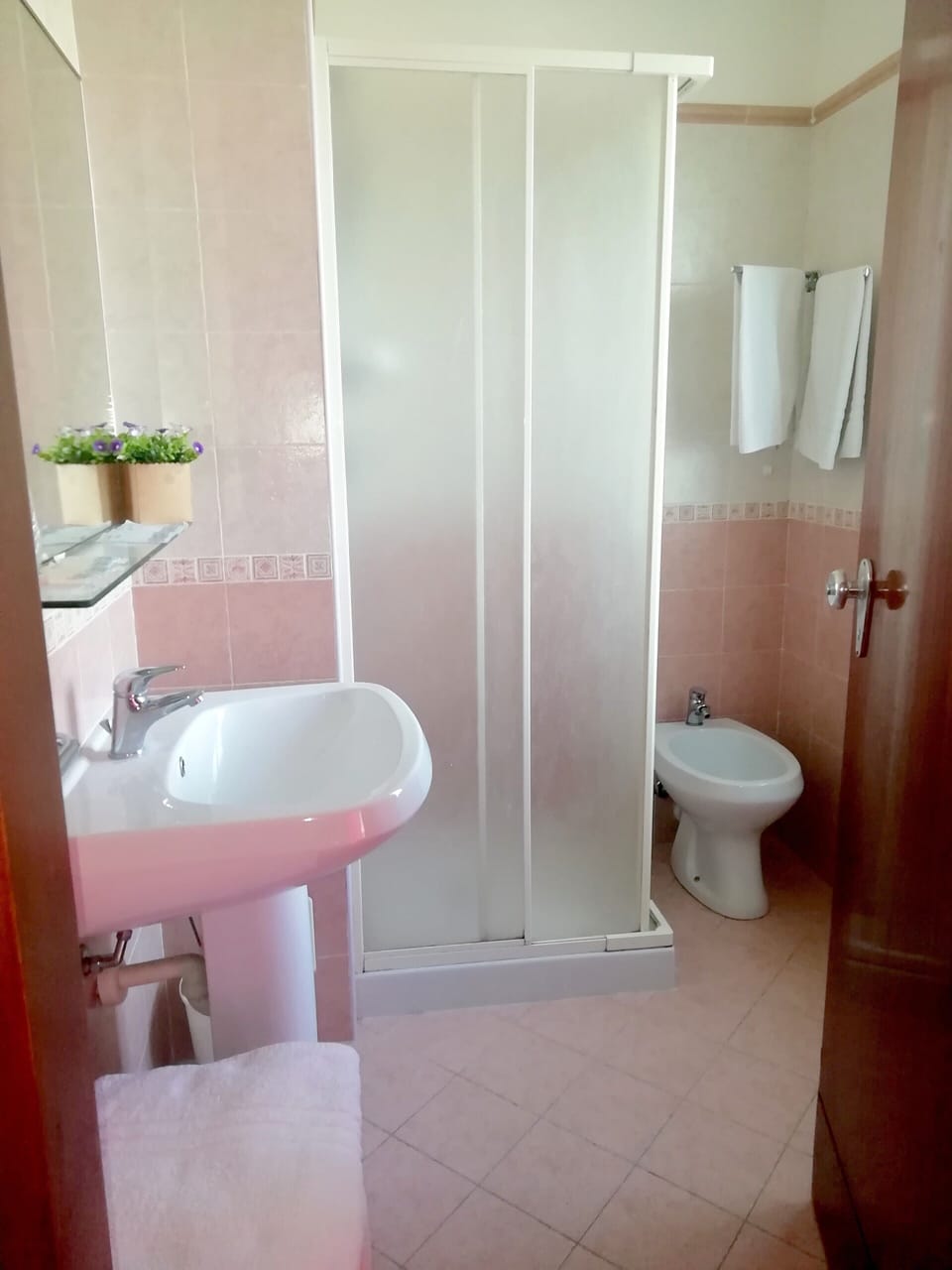 Shower, free toiletries, hair dryer, bidet
