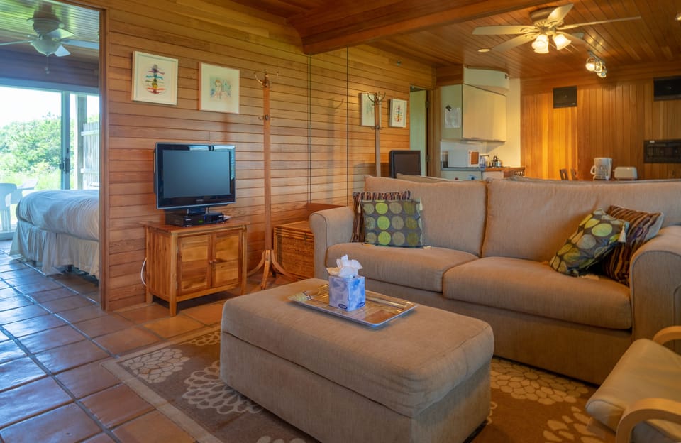 Economy Apartment | Living room | 42-inch flat-screen TV with cable channels, TV