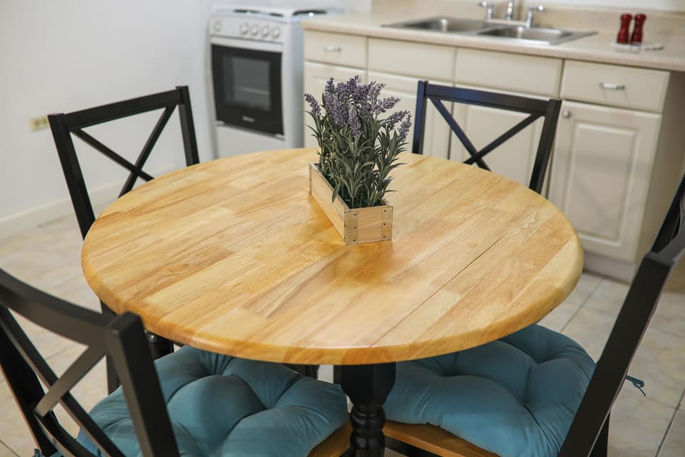 Deluxe Apartment, 1 King Bed, Terrace, Garden Area | In-room dining