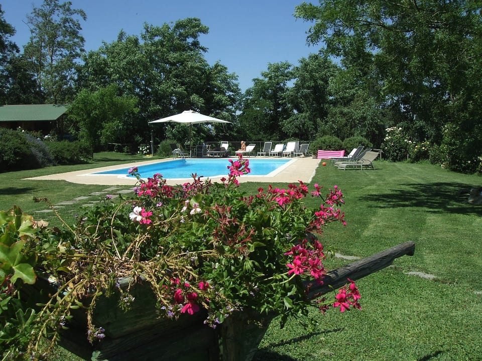 View of the swimming pool through red flowers