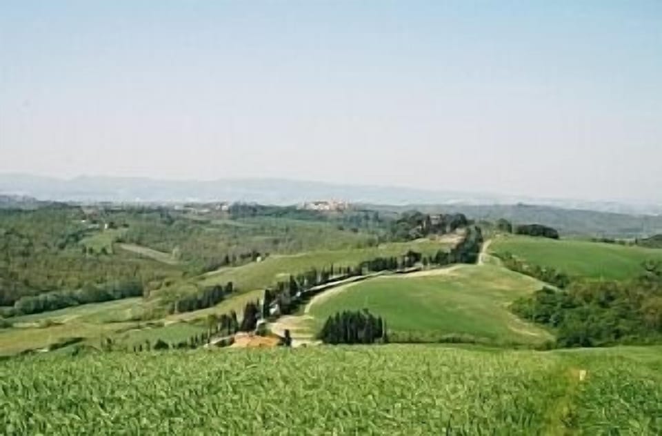 our hills