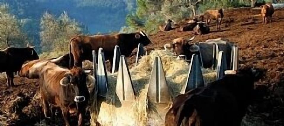 working farm
