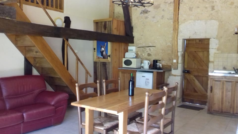 kitchen / salon