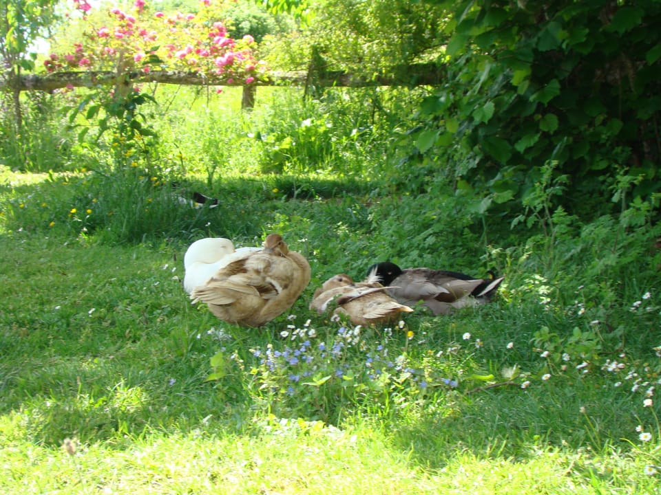 a couple of friends