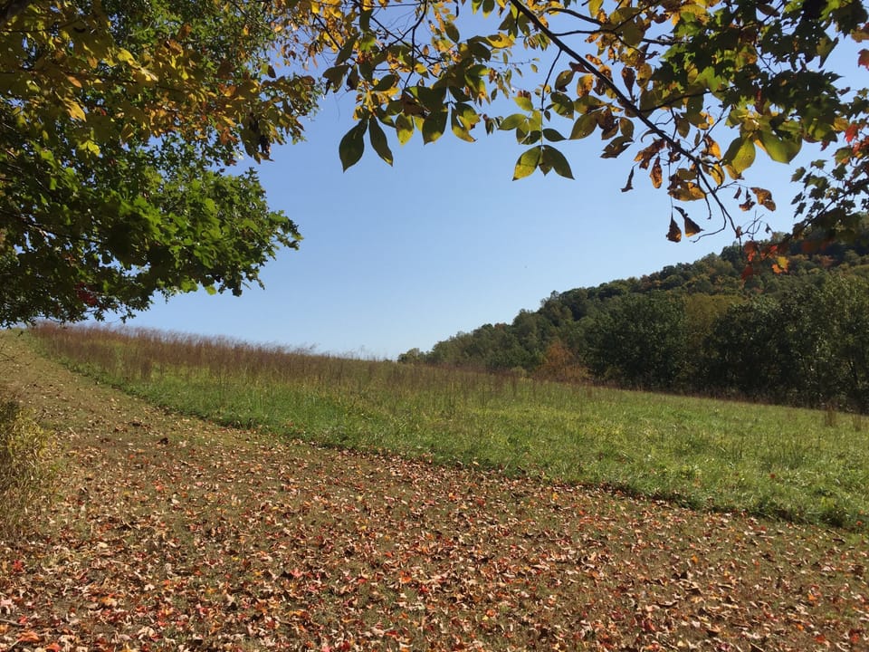 Hiking Trails