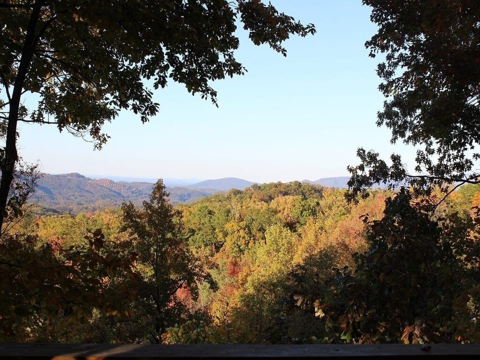 Summer view