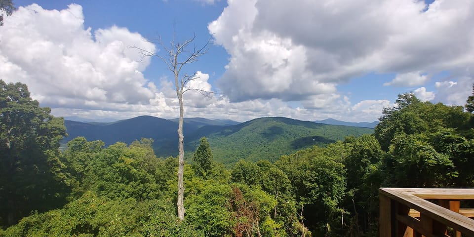 View from property