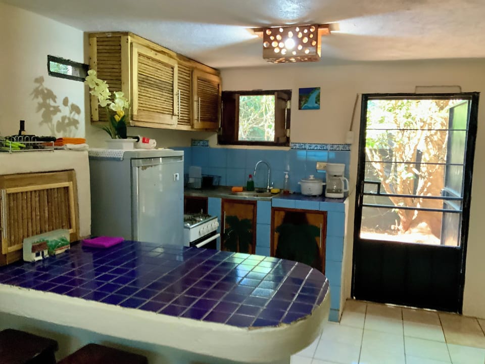 Spacious kitchen layout with natural light and airflow.