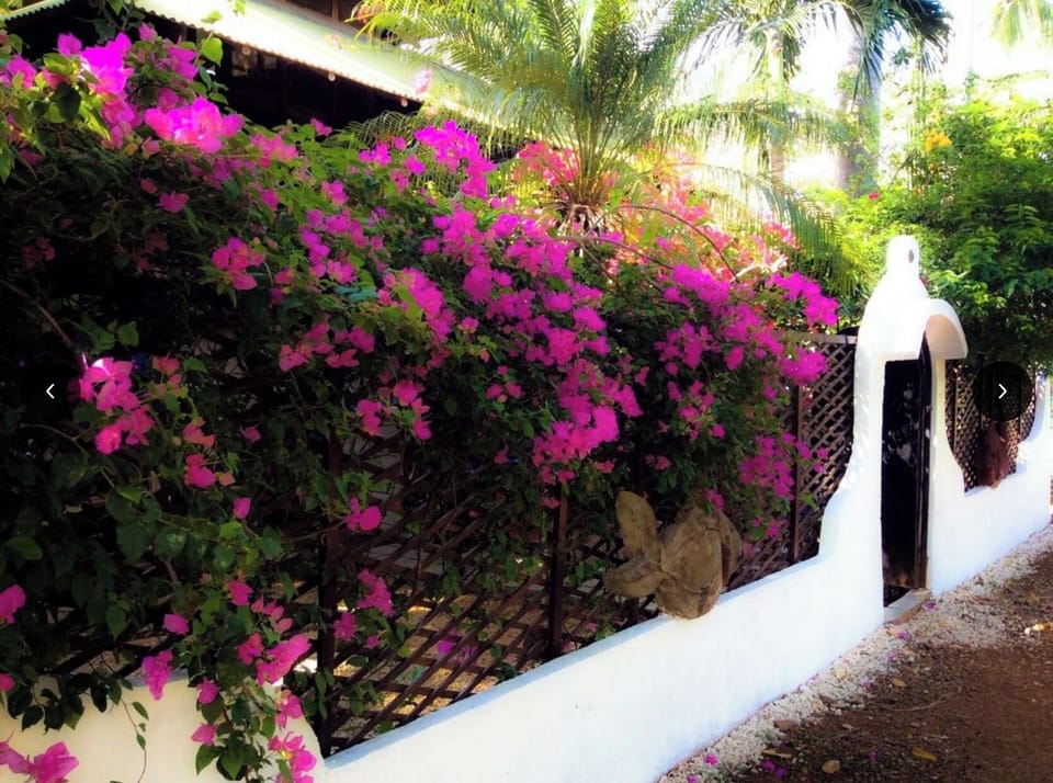 Welcome to your private tropical tree house near the beach