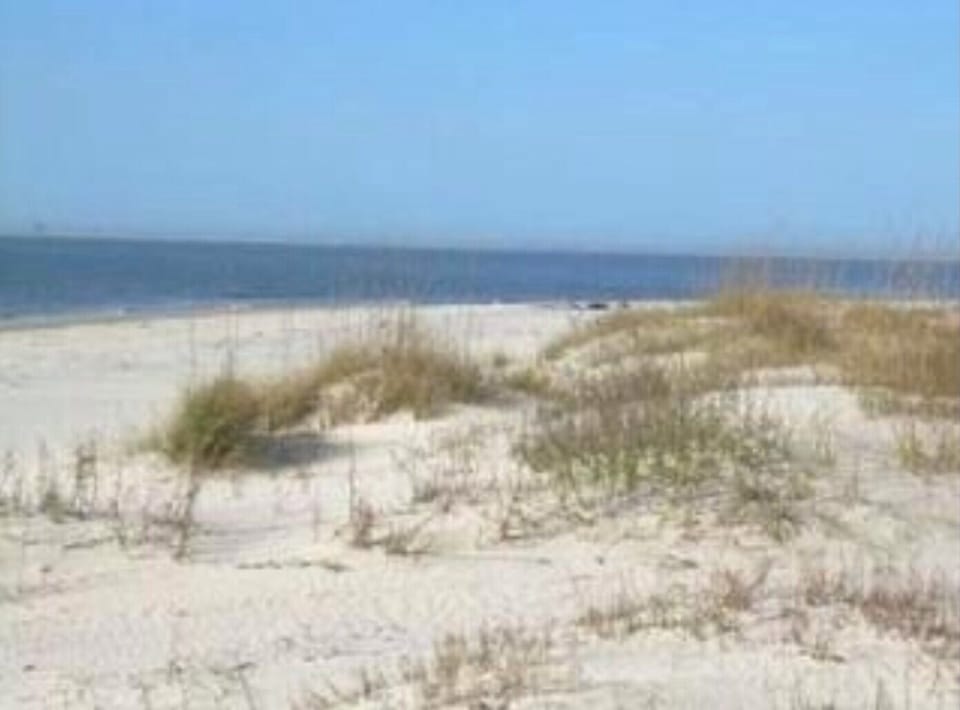 View of beach. 