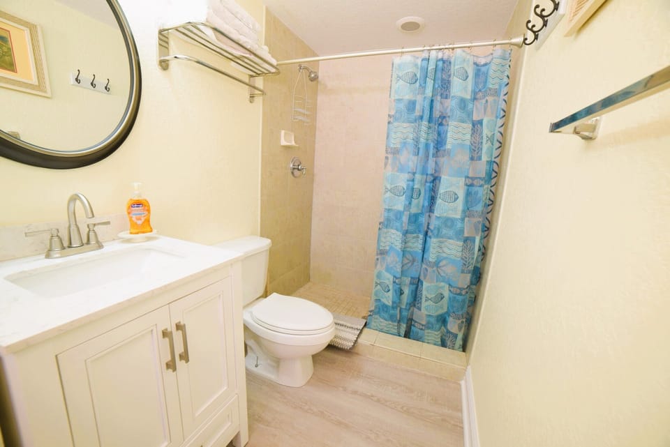 Guest bathroom with walk-in shower; access from living room.