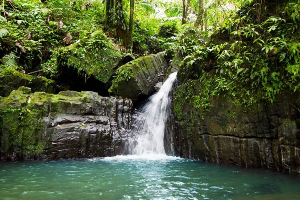 Car Rental Agency Across the Street. $25 per day. Visit El Yunque Waterfalls