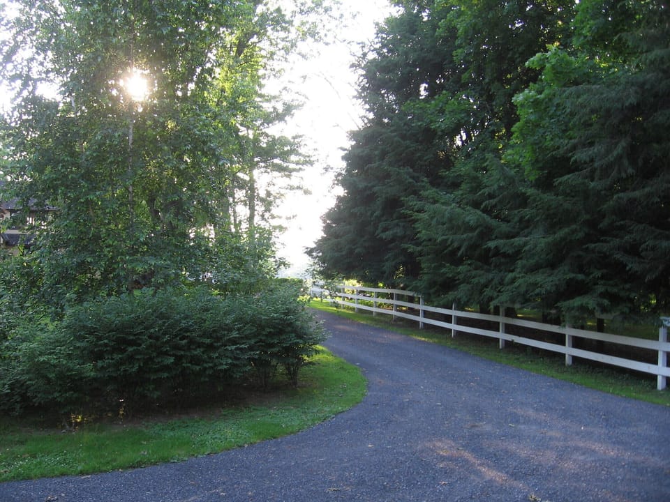 the driveway