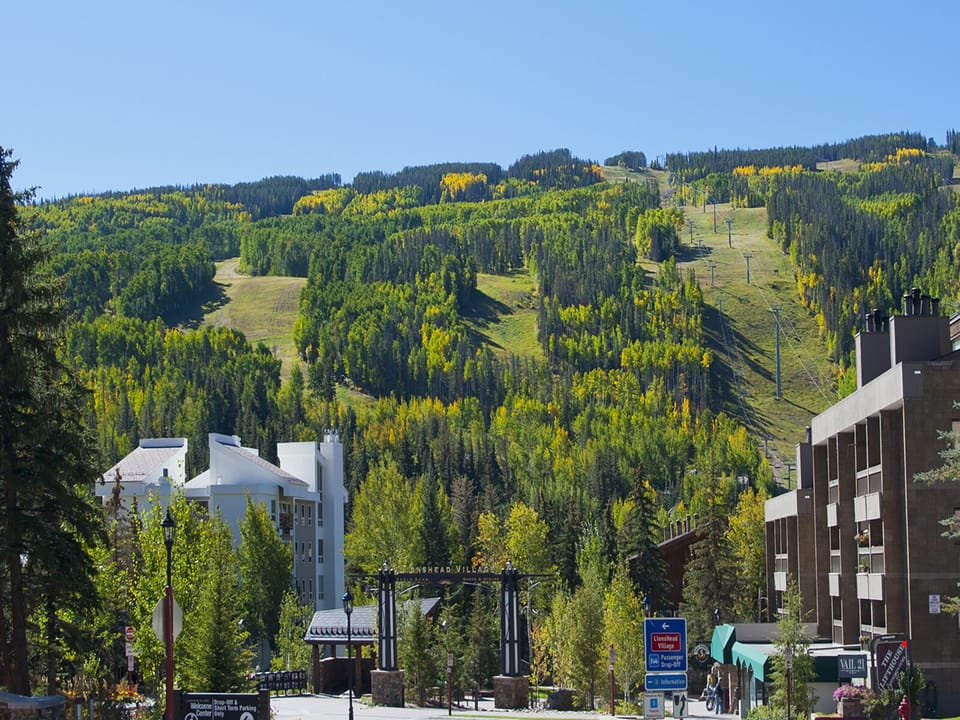 Mountain Views