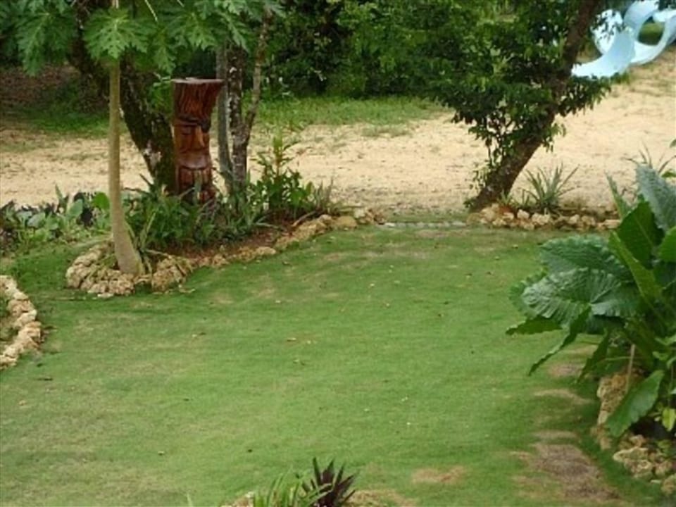 Side Yard Tiki