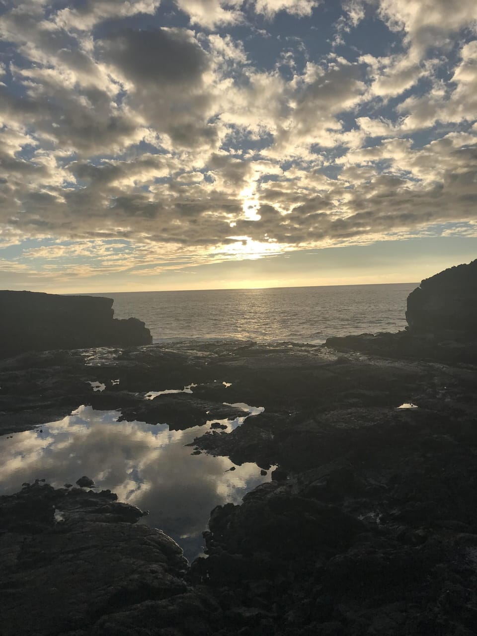 Tidal pools