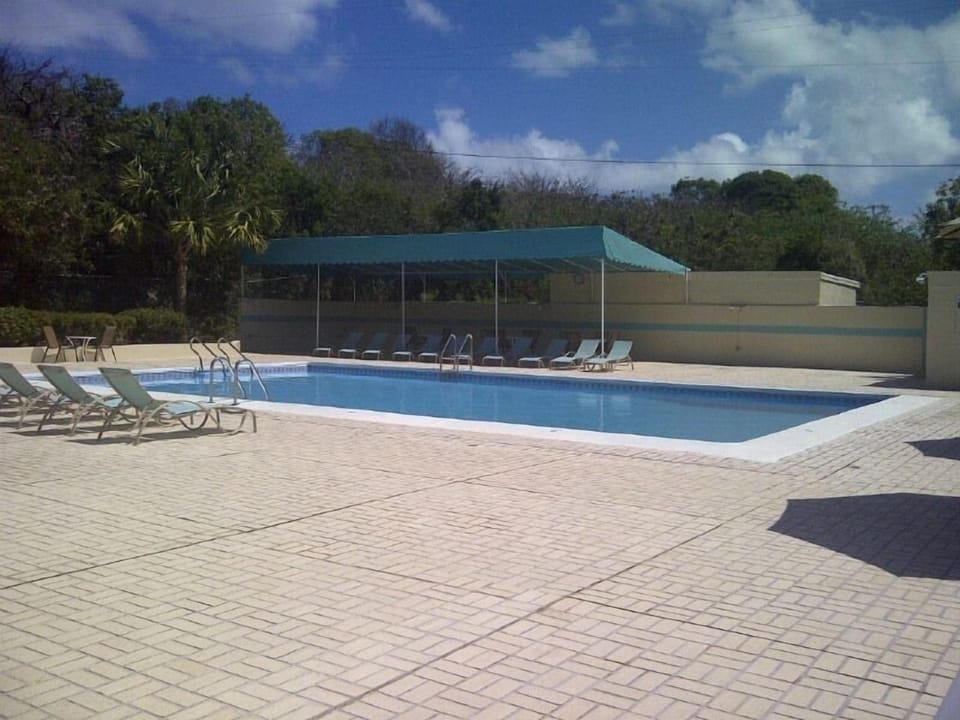 take a dip in the pool