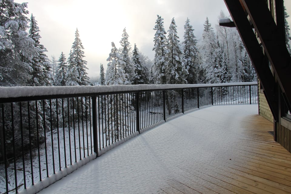 access to a large wrap around deck with grill & view of the pristine forest