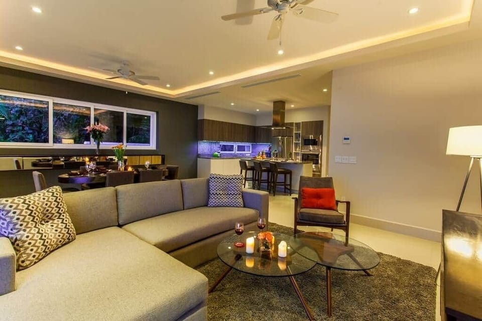 Open Living Room and Kitchen