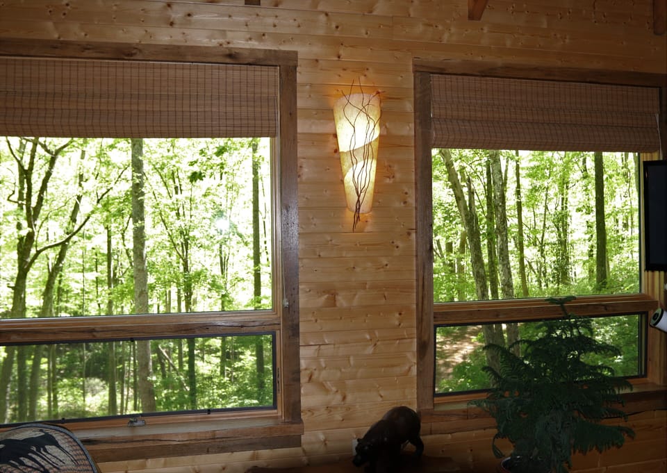 Large Windows to Gaze Upon Mother Nature While Inside Cabin