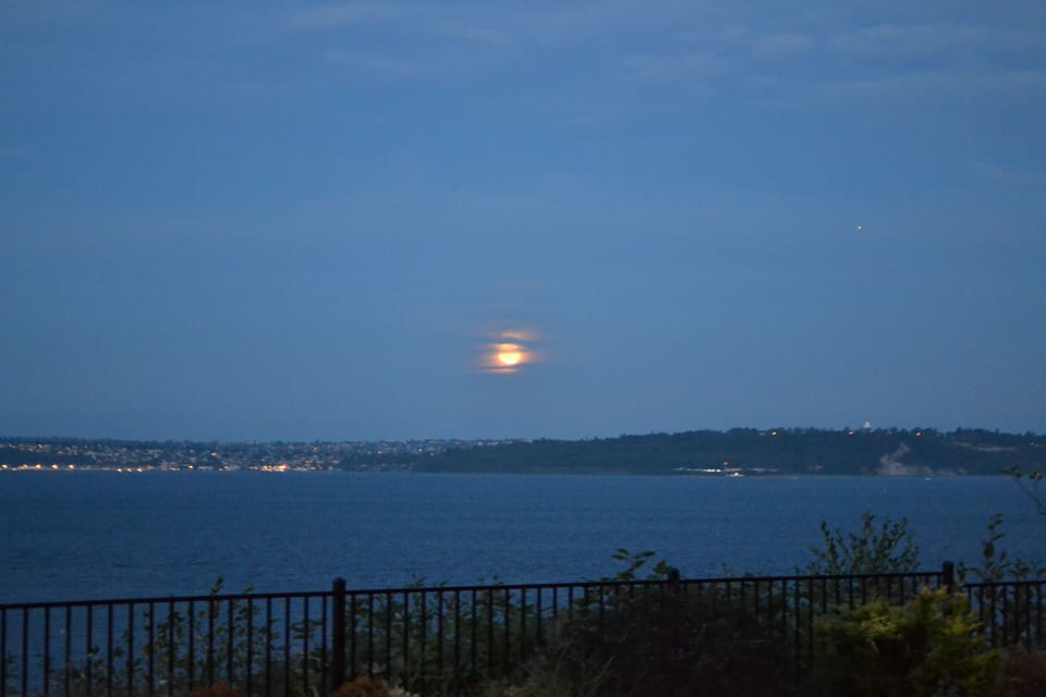 view from the deck