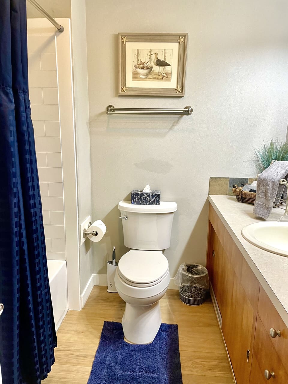 Main bathroom just remodeled with new tub/shower and new toilet.