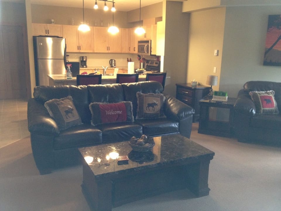 Living room- queen pull-out sleeper
