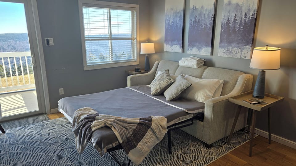 Queen Size sleeper sofa
