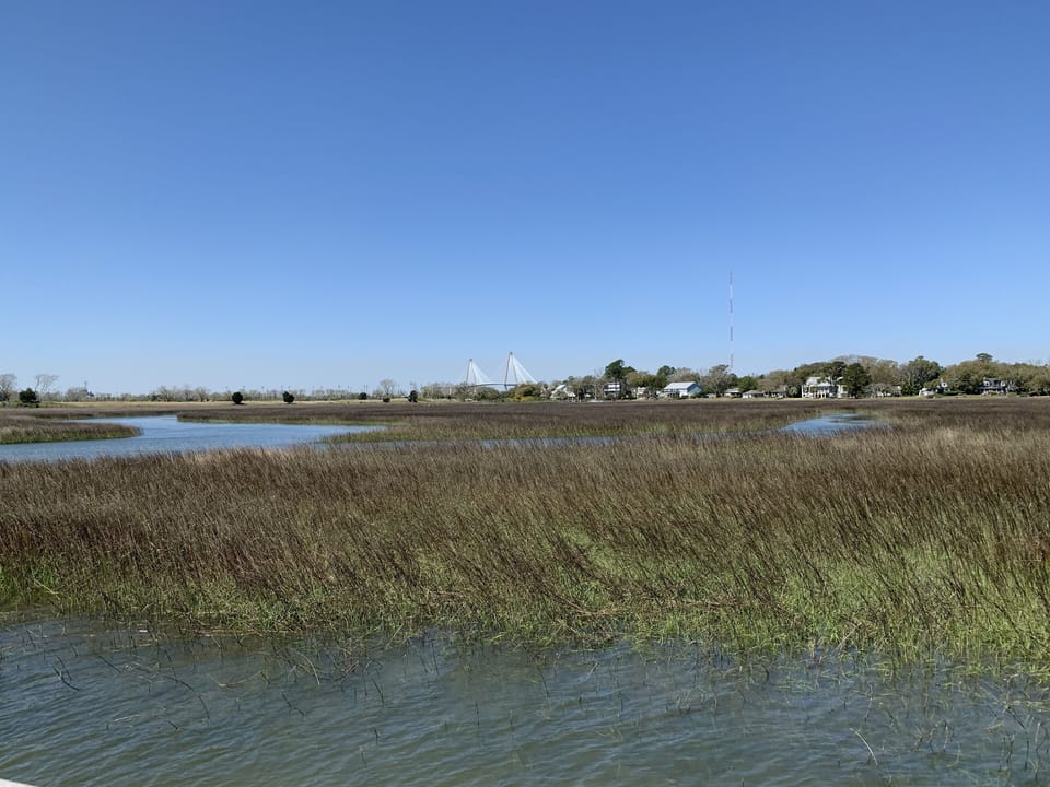Shem Creek marsh with views of the Ravenel Bridge in the distance