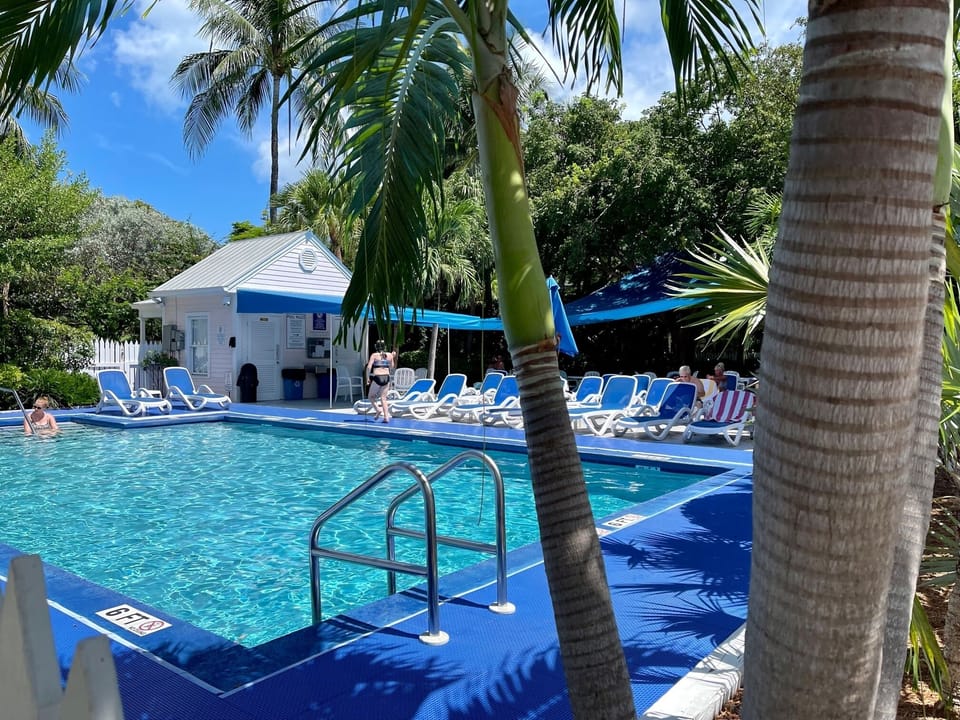 Nice size pool.